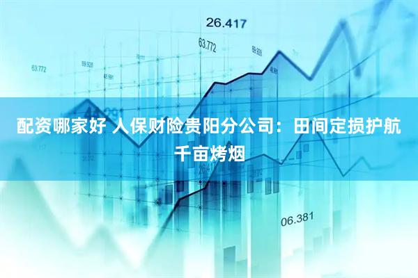 配资哪家好 人保财险贵阳分公司：田间定损护航千亩烤烟